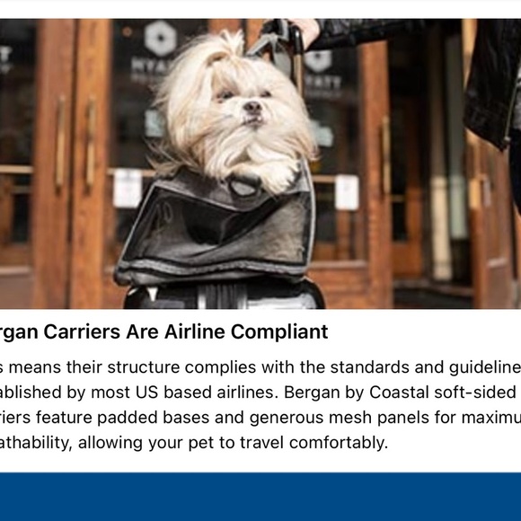 bergan comfort carrier small pet (black/grey) - Picture 10 of 10